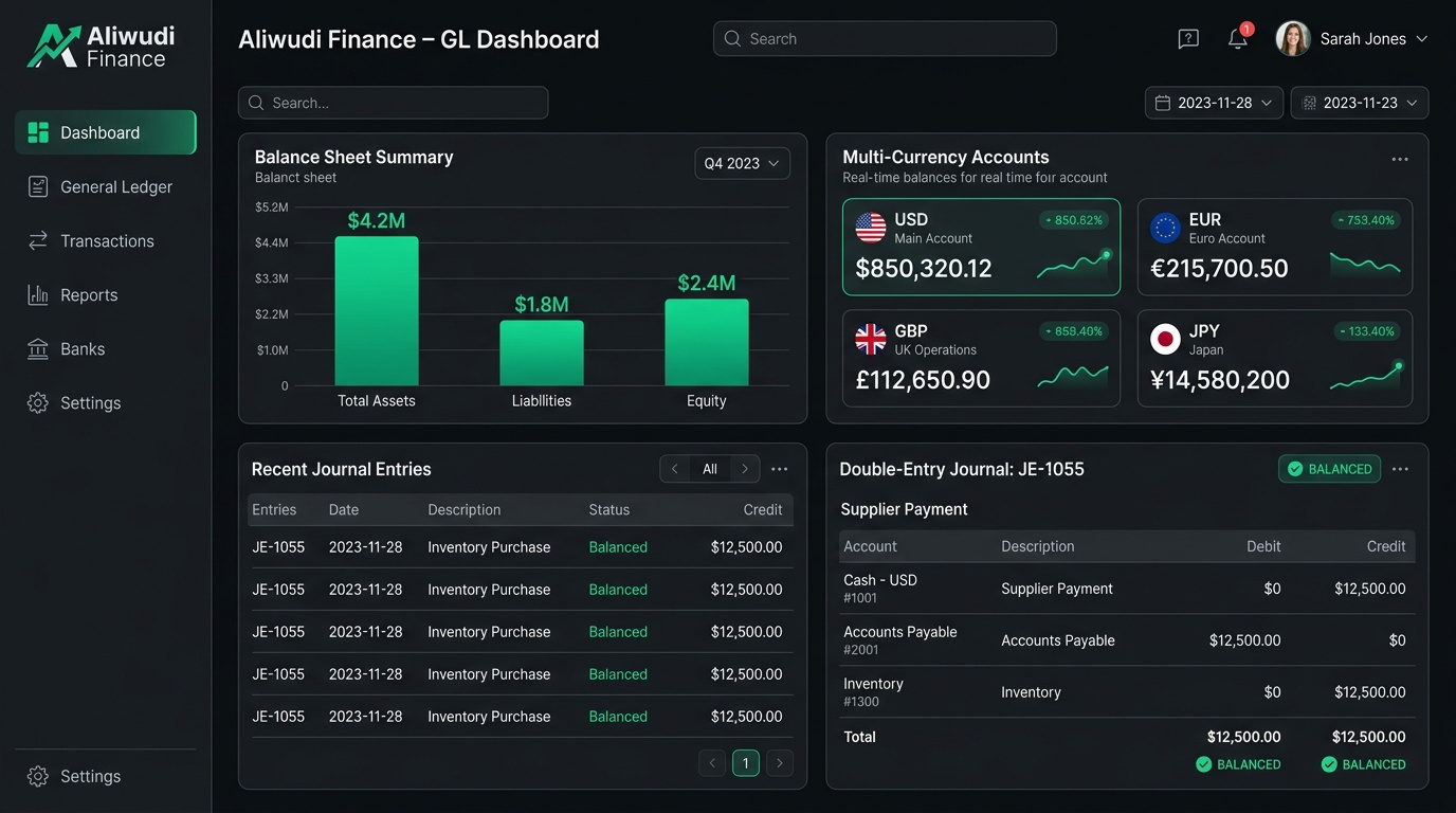 Aliwudi Finance Chief Financial Officer Desktop Interface Preview (Slide 1)